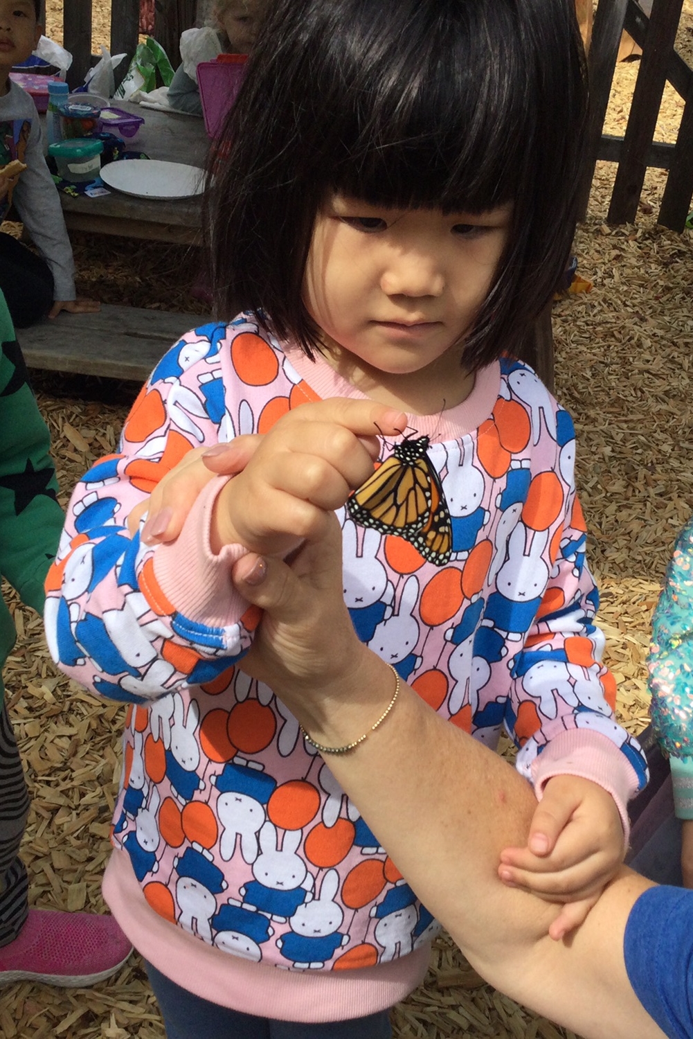 A Birch student holds a Monarch butterfly