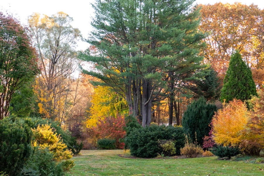 Magullion Center in fall