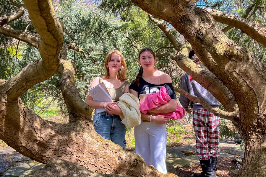 Middle school students